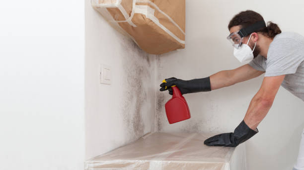 Professional Mold Inspection And Testing technician working in Montgomery Village, MD