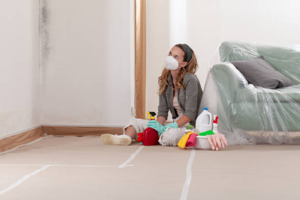 Reliable Mold Inspection And Testing contractor in Montgomery Village, MD by Car Mold Remediation